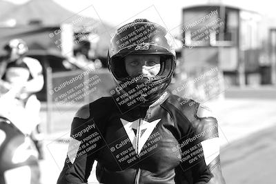 media/Feb-23-2025-2WTD (Sun) [[9604a77d5d]]/1-Around the Pits/